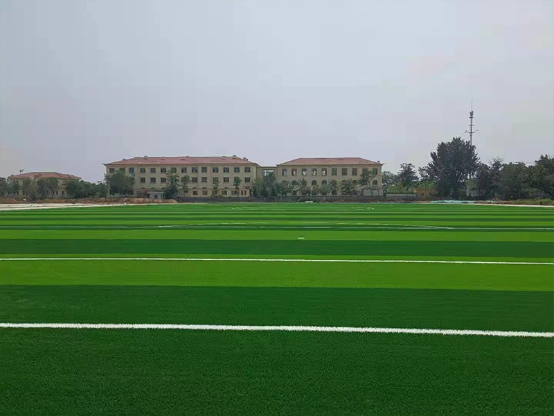 体育场人造草坪